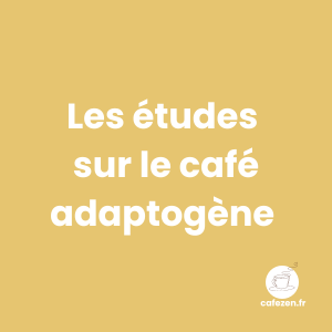 Les études scientifiques sur le café adaptogène