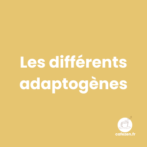 Les différents adaptogènes et leurs bienfaits