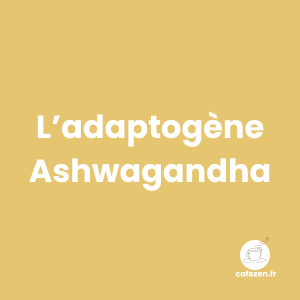 L’adaptogène Ashwagandha : le boost naturel