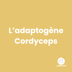 L'adaptogène Cordyceps : la puissance naturellement