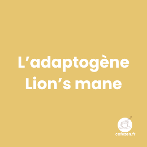 L’adaptogène Lion's Mane : la santé cognitive, mentale et digestive